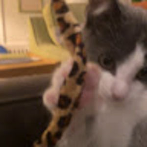 Meet your Posher, Charles